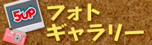 フォトギャラリー フォトギャラリー